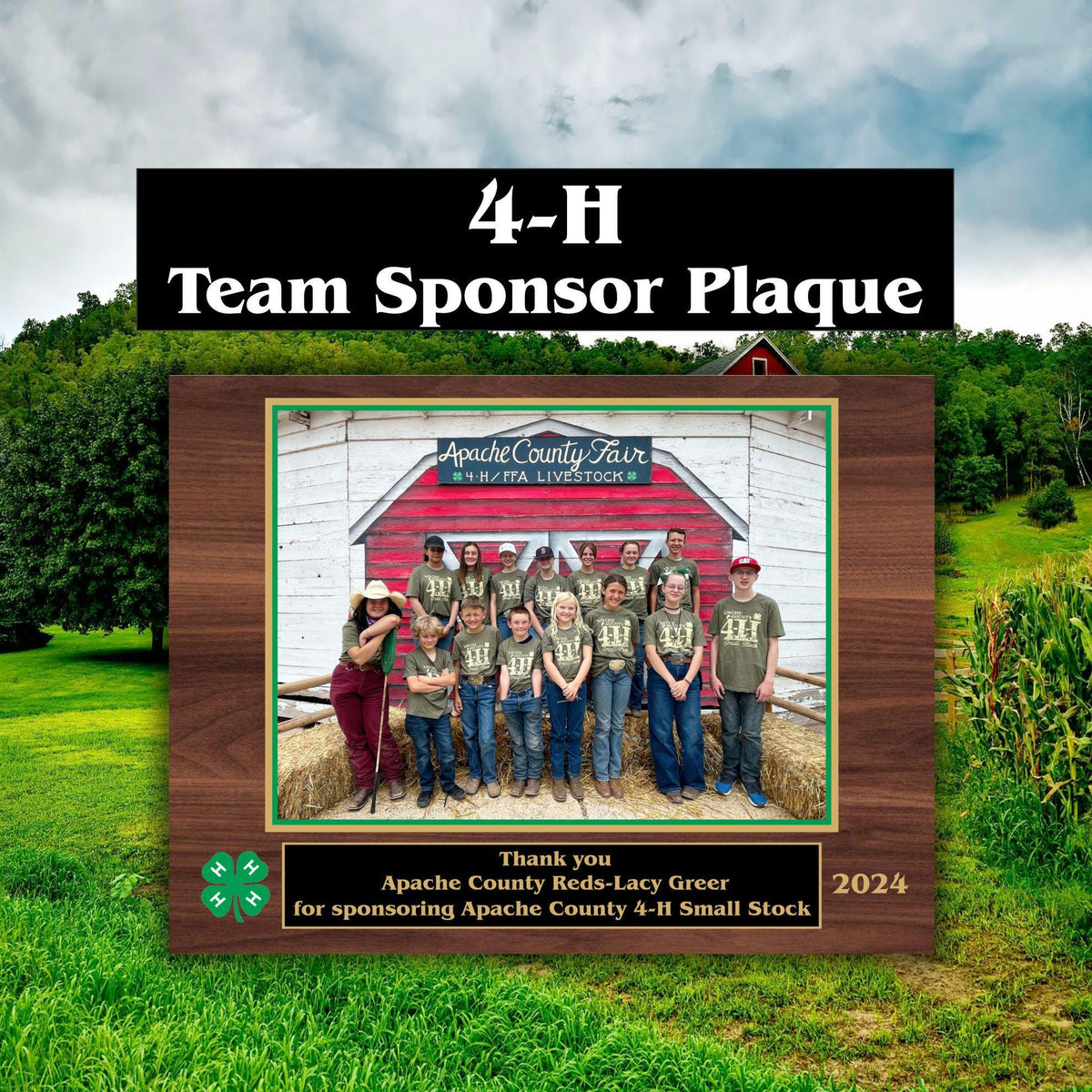 7x9 Custom 4-H Sponsor Plaques