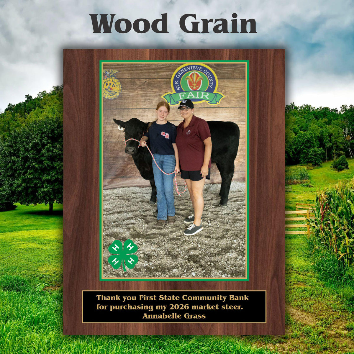7x9 Custom 4-H Sponsor Plaques
