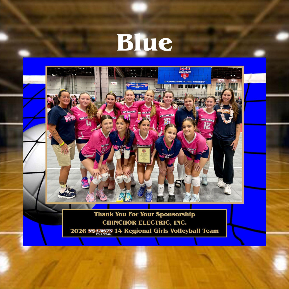 Personalized volleyball sponsor plaque with custom team photo design