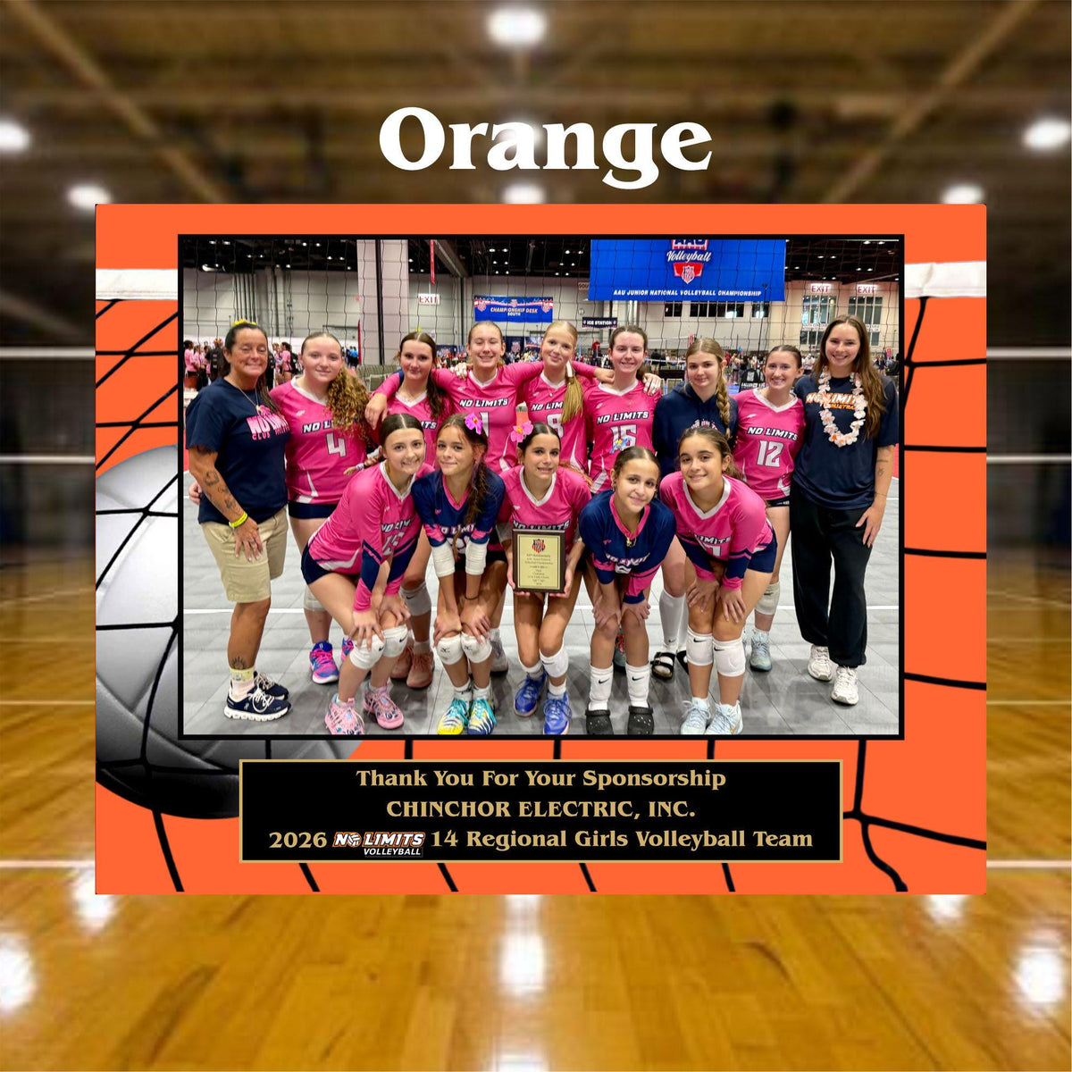 7x9 Custom Volleyball Sponsor Plaques