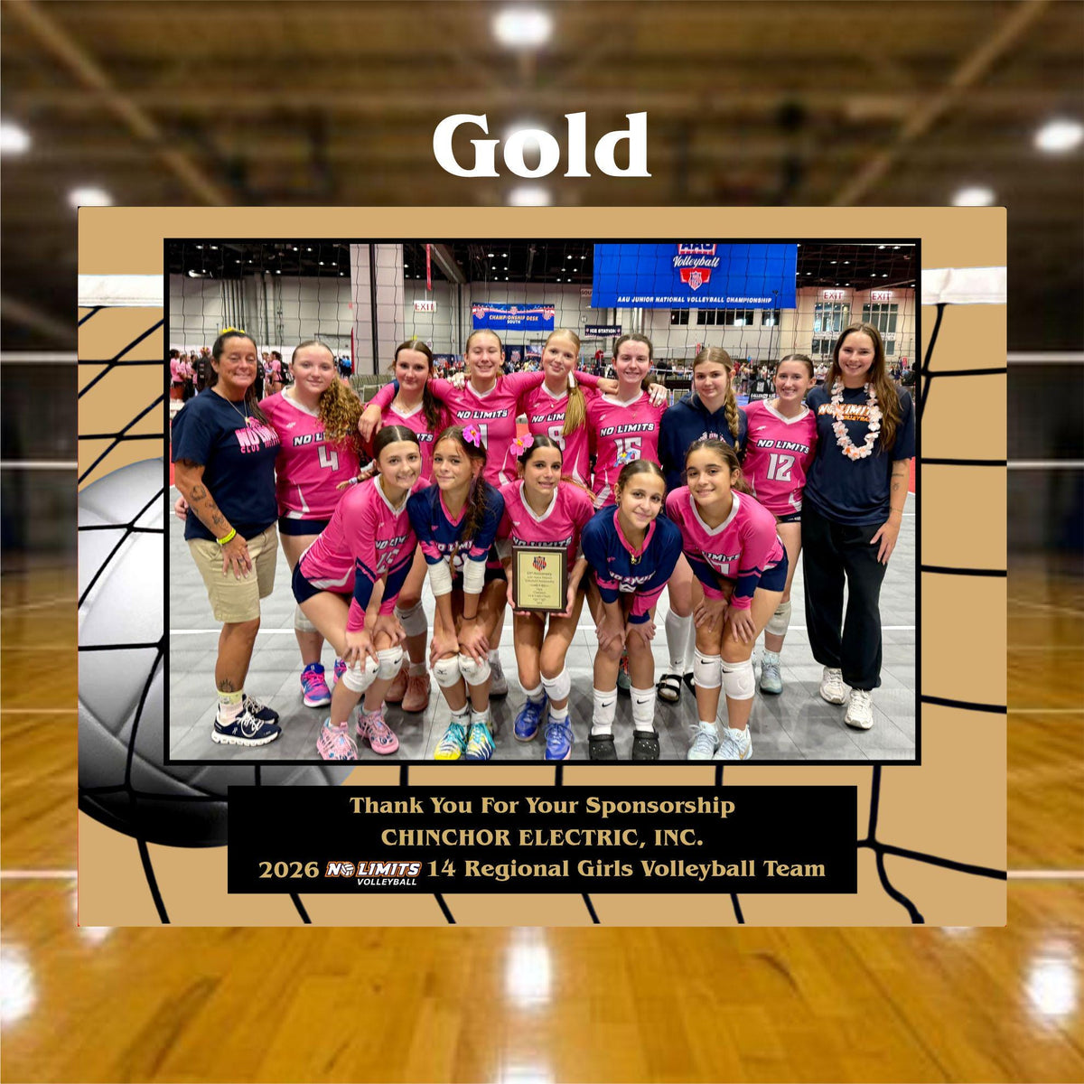 Volleyball team recognition plaque customized with photo, logo and wording