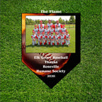 Baseball home plate photo plaque customized for players, coaches and families