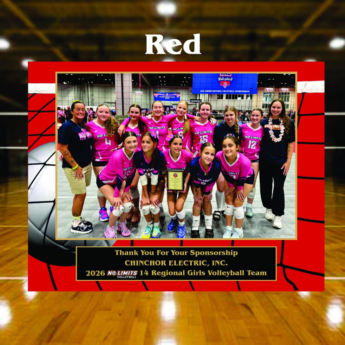 7x9 Custom Volleyball Sponsor Plaques