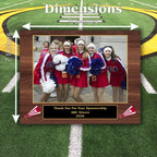 Cheer Sponsor Plaque, Personalized Team Gift, Coach's Award, End of Season Gift
