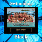 Swimming Sponsor Plaque, Personalized Team Gift, Coach's Award, End of Season Gift