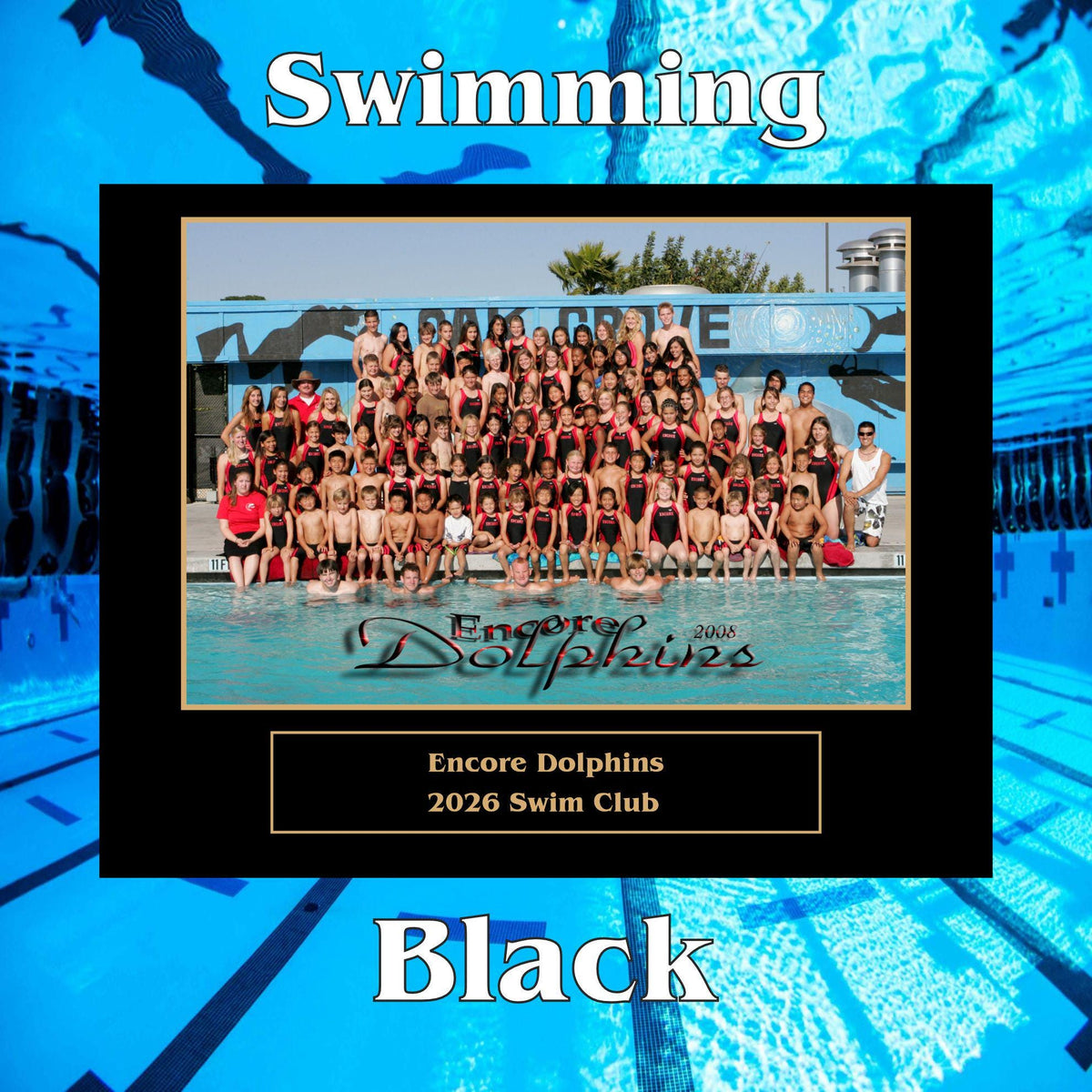 Swimming Sponsor Plaque, Personalized Team Gift, Coach's Award, End of Season Gift
