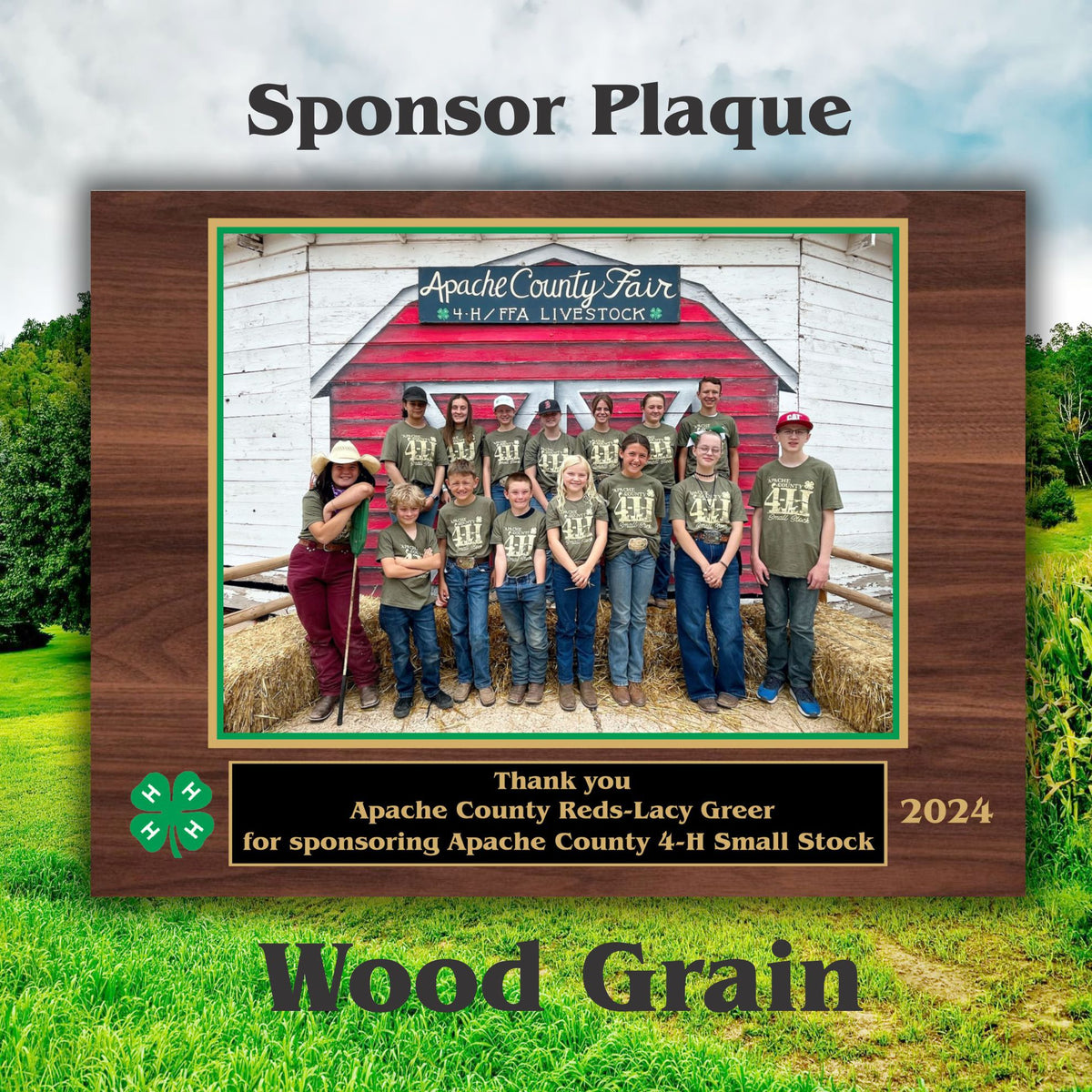 7x9 Custom Sports Sponsor Plaques